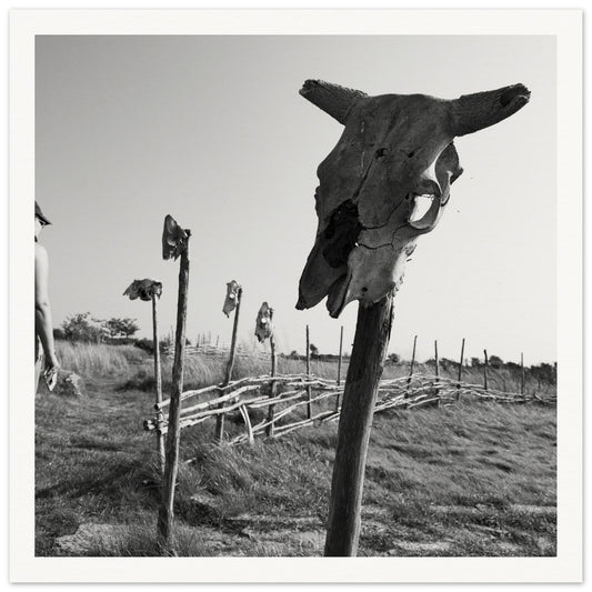 e6a97717-5bc4-4521-b4cf-5106c1ad8440