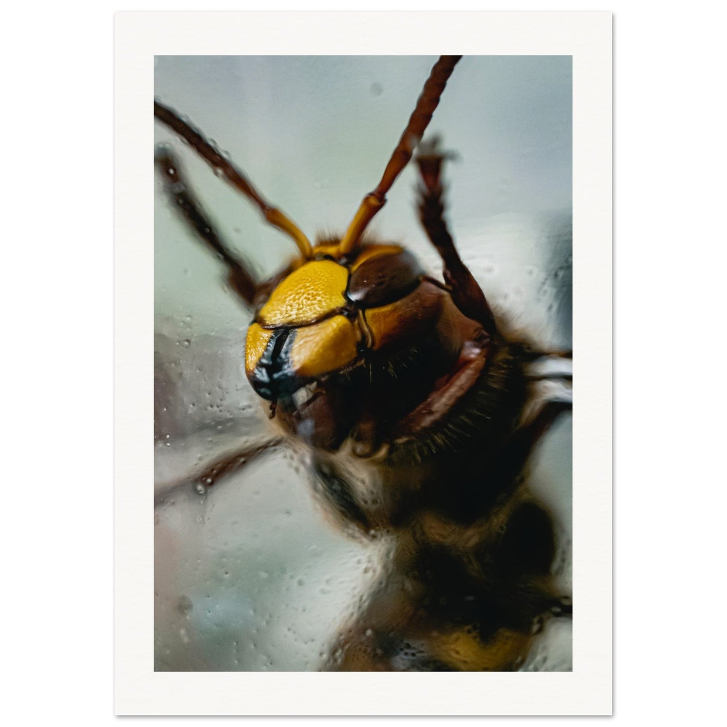 e74e4333-b10b-461f-baf2-1545d5d0e078