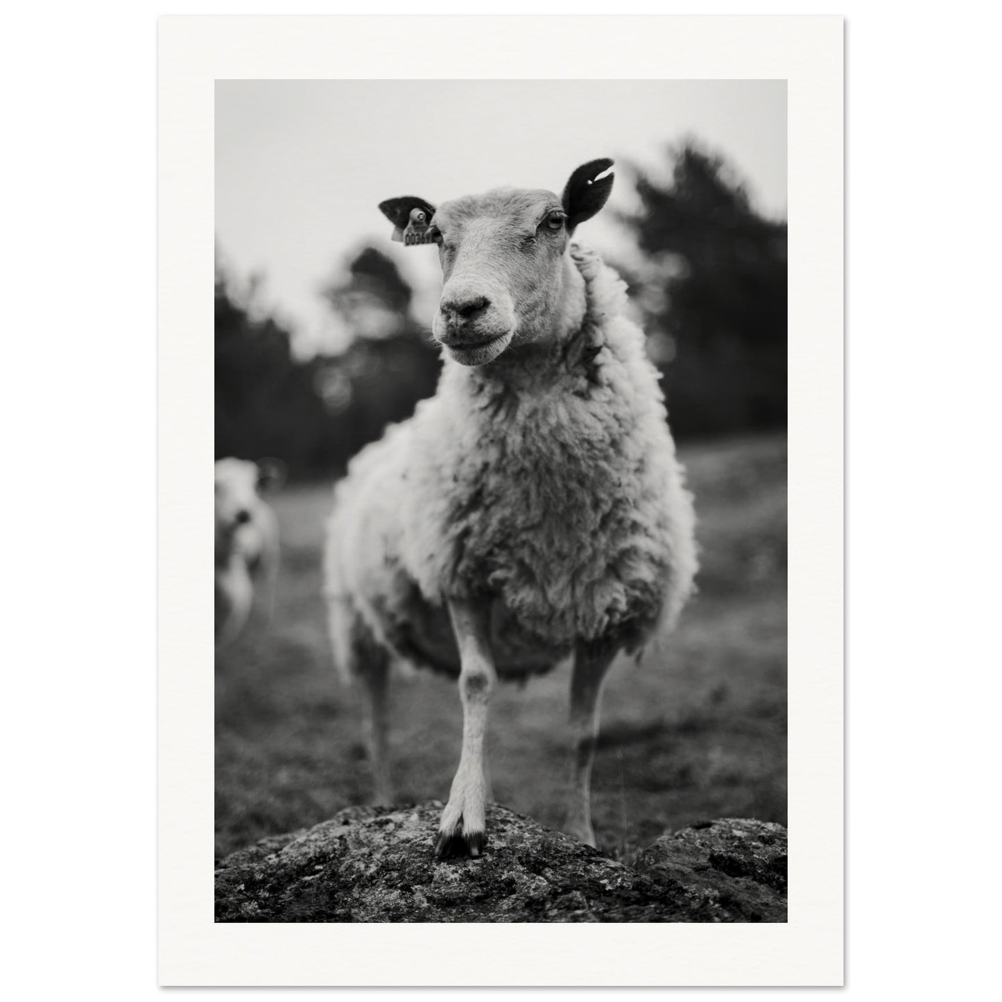 e9a07e54-c505-474e-9e23-0c8410c83110