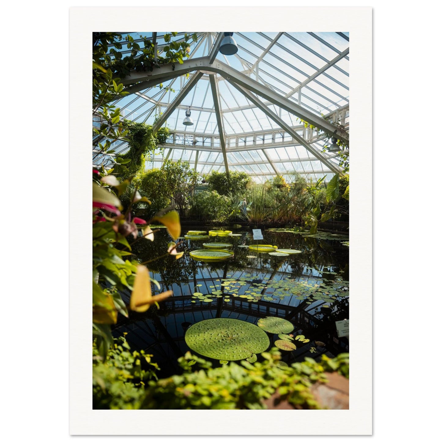 eac56e9a-92a7-4157-88cd-4f59eff585ff