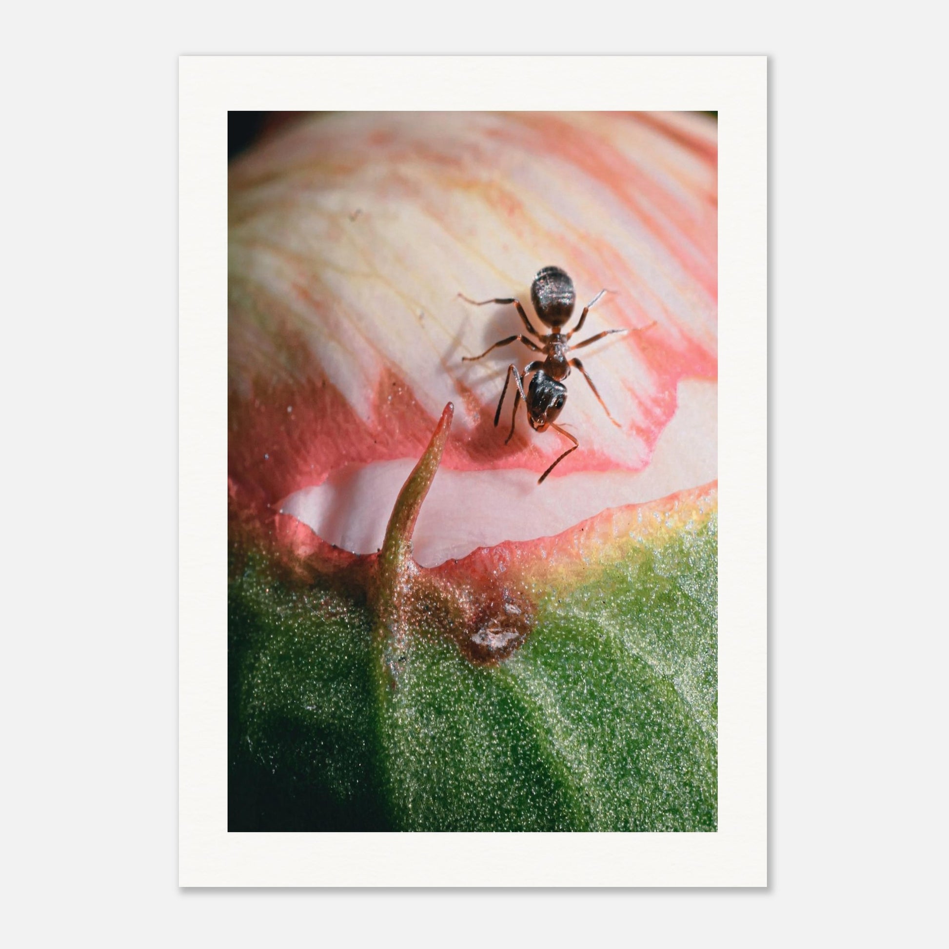 ebd821bd-bc18-4919-be4b-1f55754d5b92