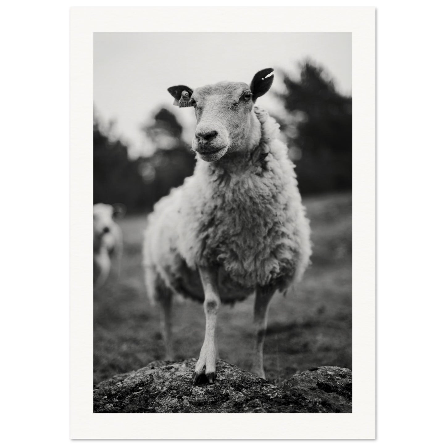 ec00828f-1bb9-415d-bf9f-f3ae4a11f9c1