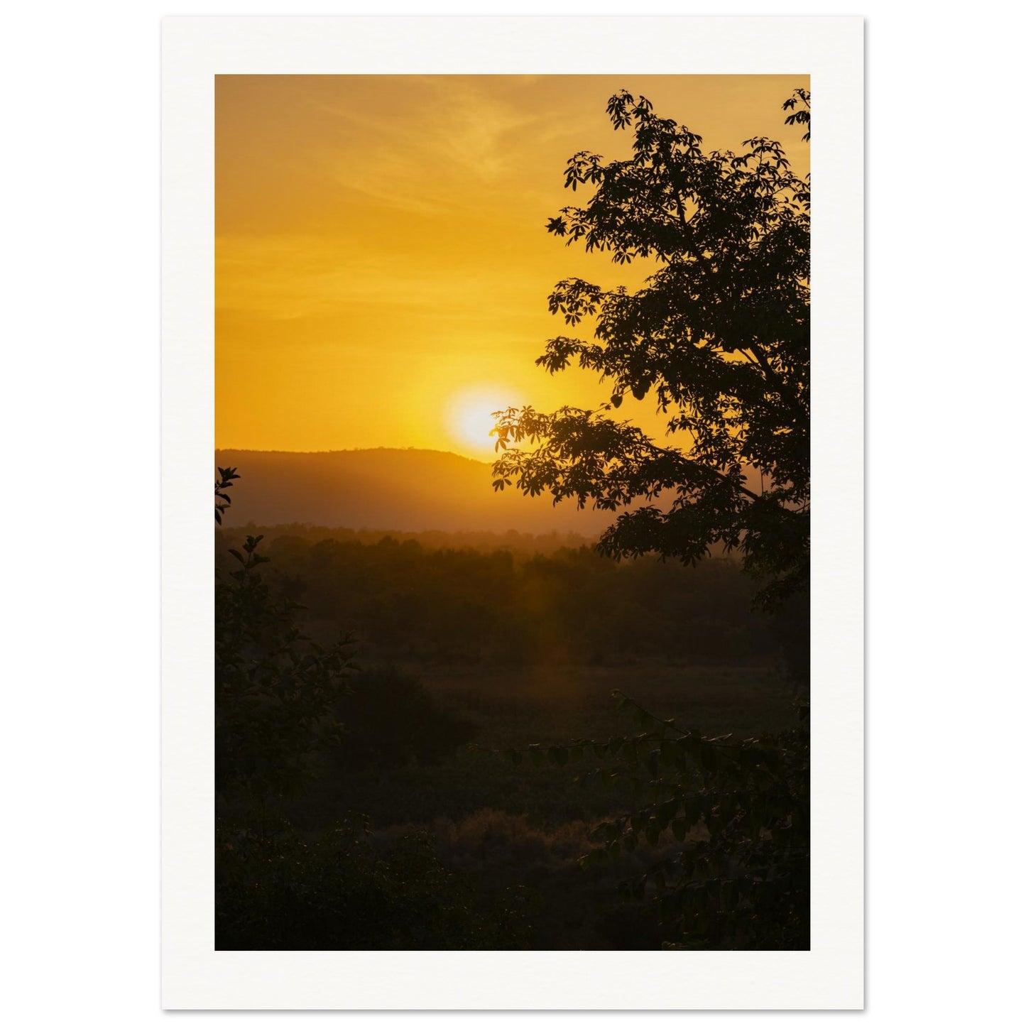 ecf32e8d-29e0-4ed4-9f46-d4e4c6023efc