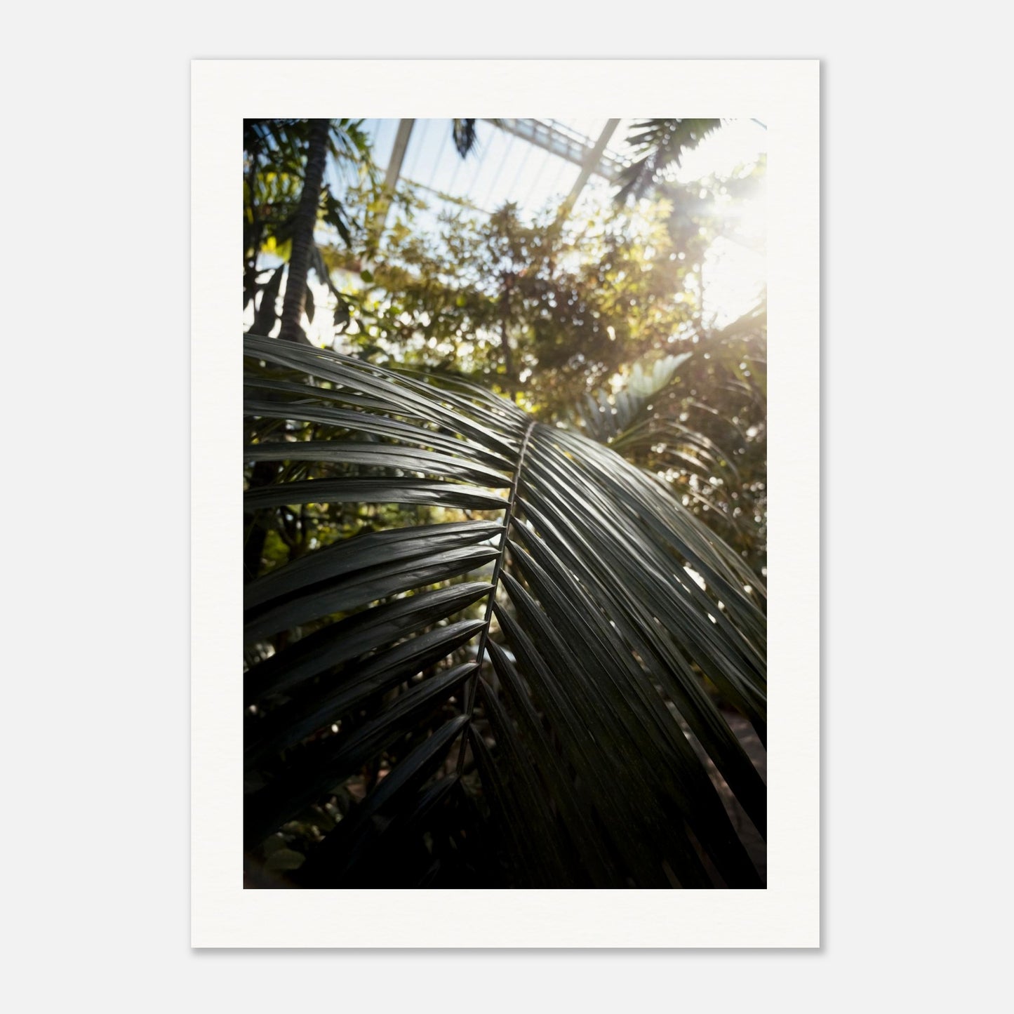 efb3fdb6-4d90-4f45-8365-e34d0aec8ed5