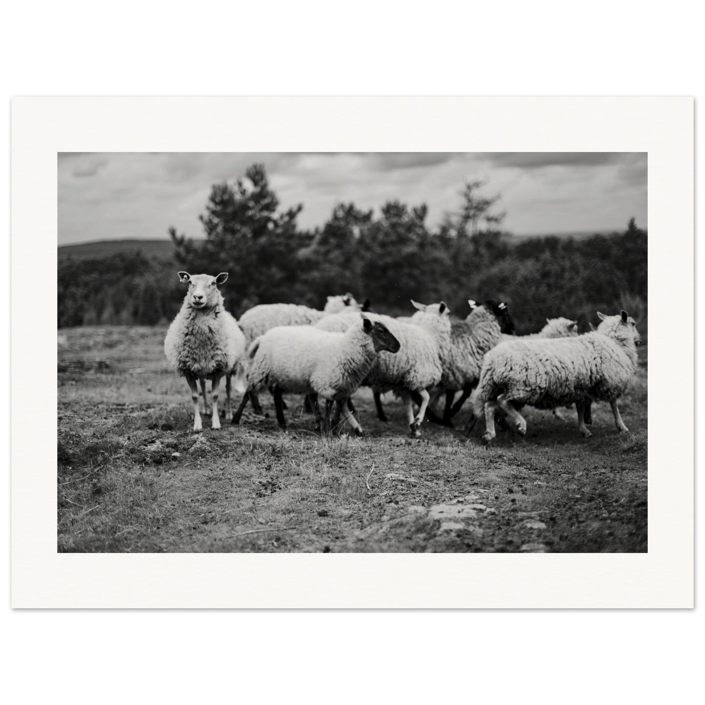 f03c3d9a-e444-4ed5-bd38-8eac6a512218