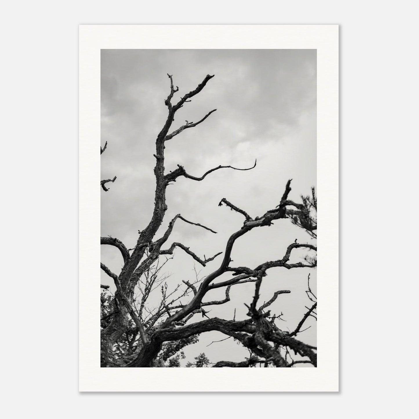 f119aa22-f928-4bea-92c1-153572529ca1