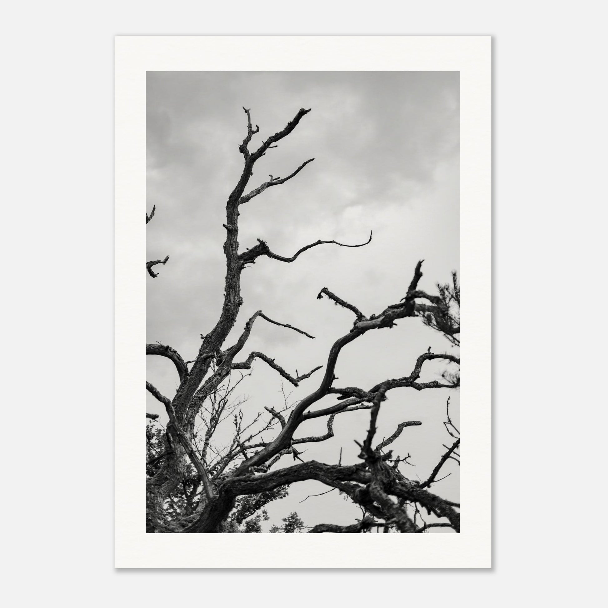 f119aa22-f928-4bea-92c1-153572529ca1