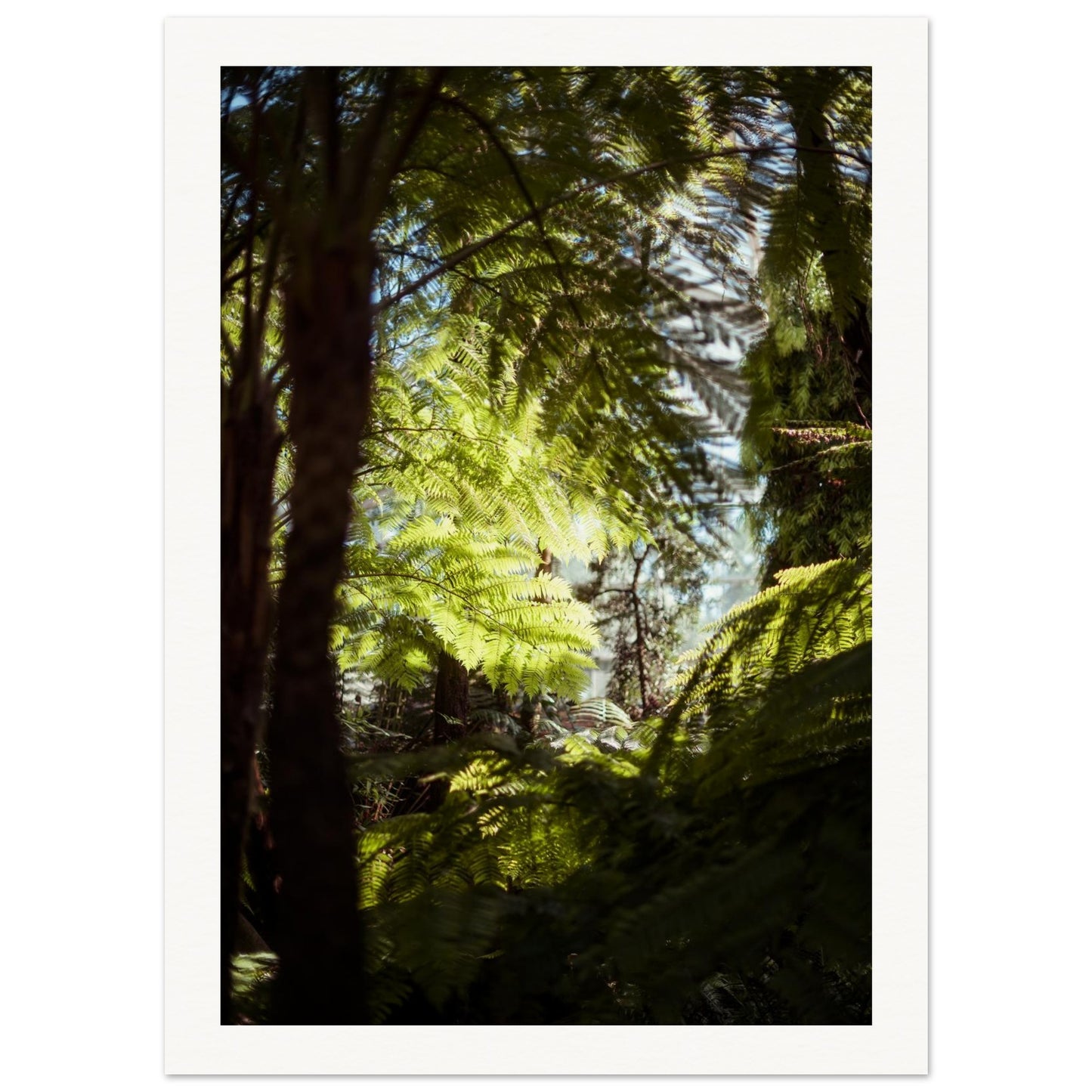 f40b4052-da44-46bb-b1b6-5b29aa0cbfef