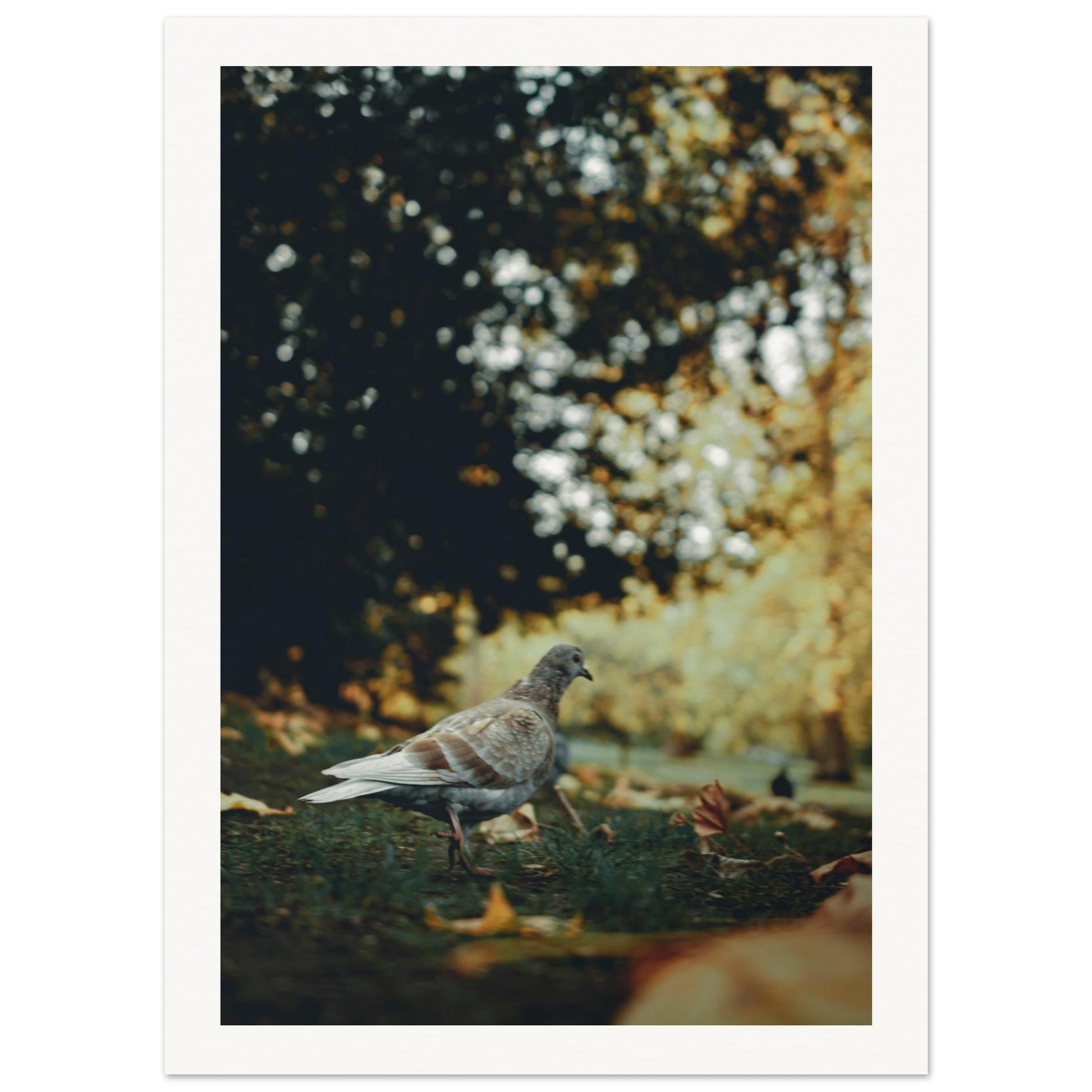 f51e729a-843e-4559-b788-fdc862e8d23c