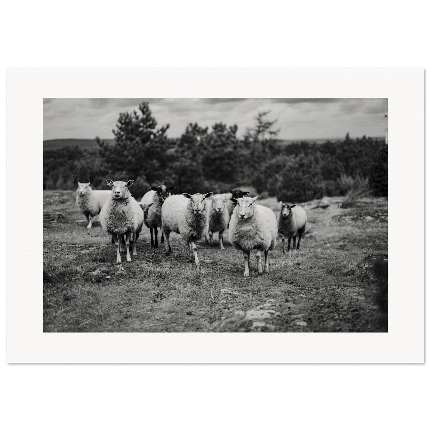 f59a324e-de47-477f-b96e-480dfea689e2