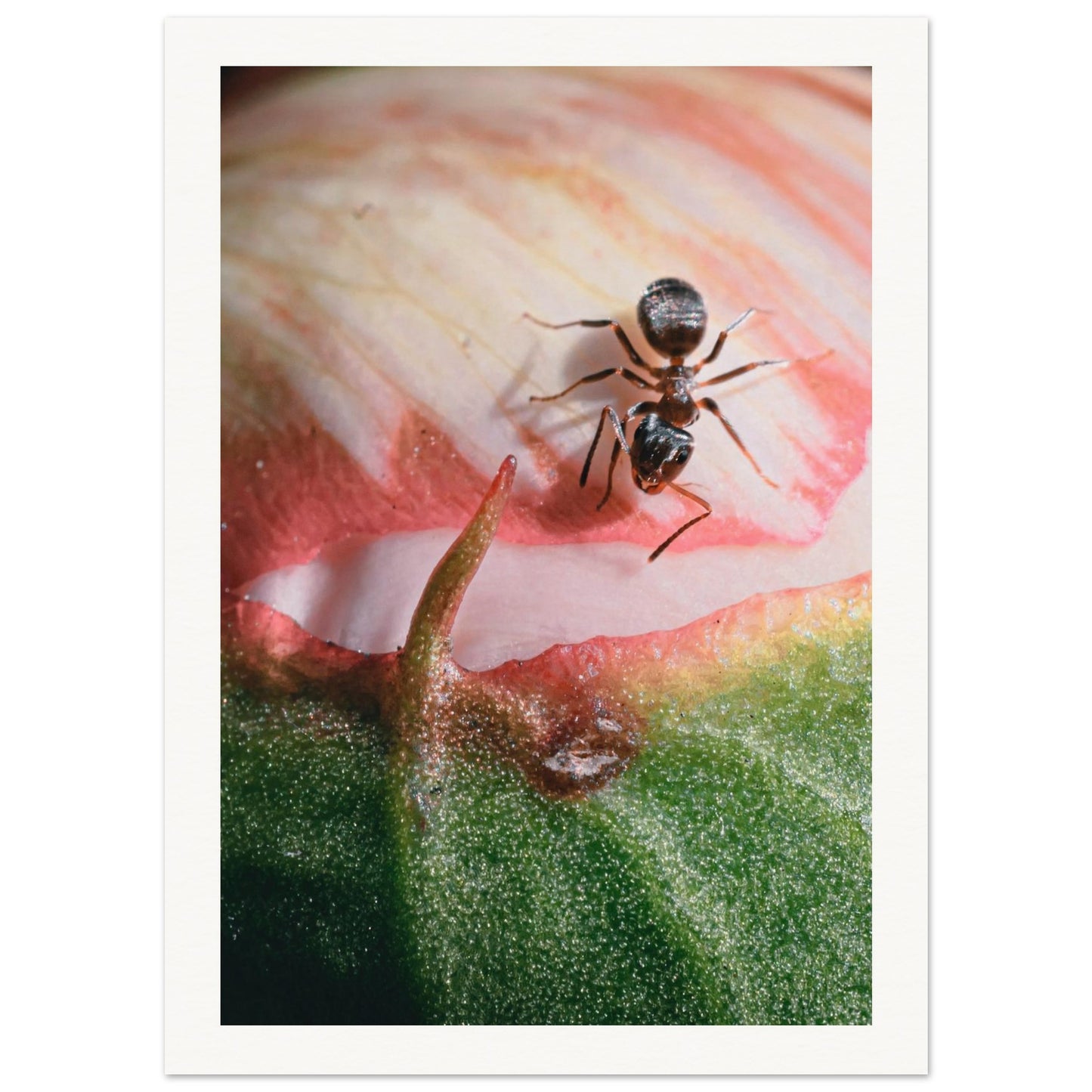 f5cf3a26-441e-401f-8637-9719d0ccddc8