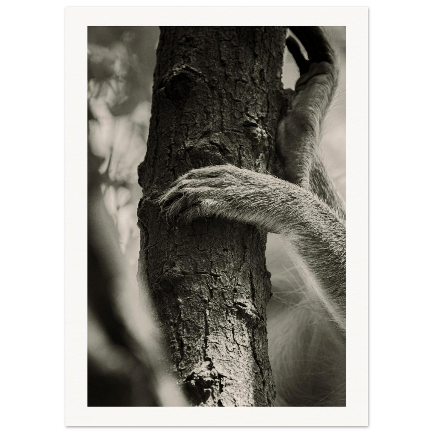 f5d5259b-31b3-4fd3-8482-aadac7f764ba