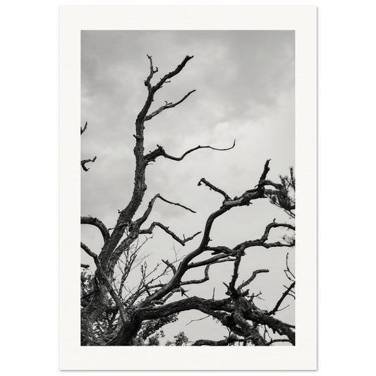 f68a700e-801e-4794-8049-b519dcf6ef66