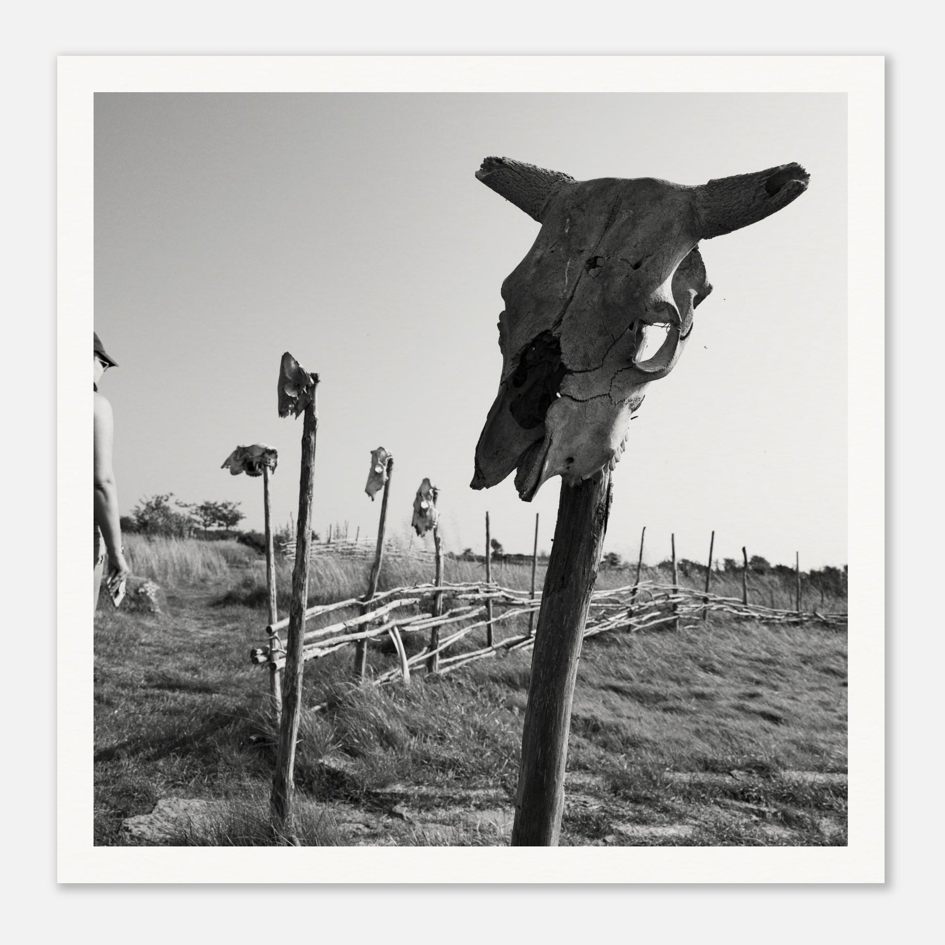 f88b2e6a-82c4-41f8-ad1c-d96f61004c0c