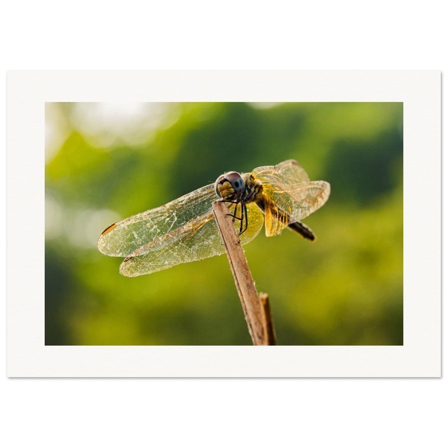 f8c88939-cc5b-4789-b77d-6c095116ec00