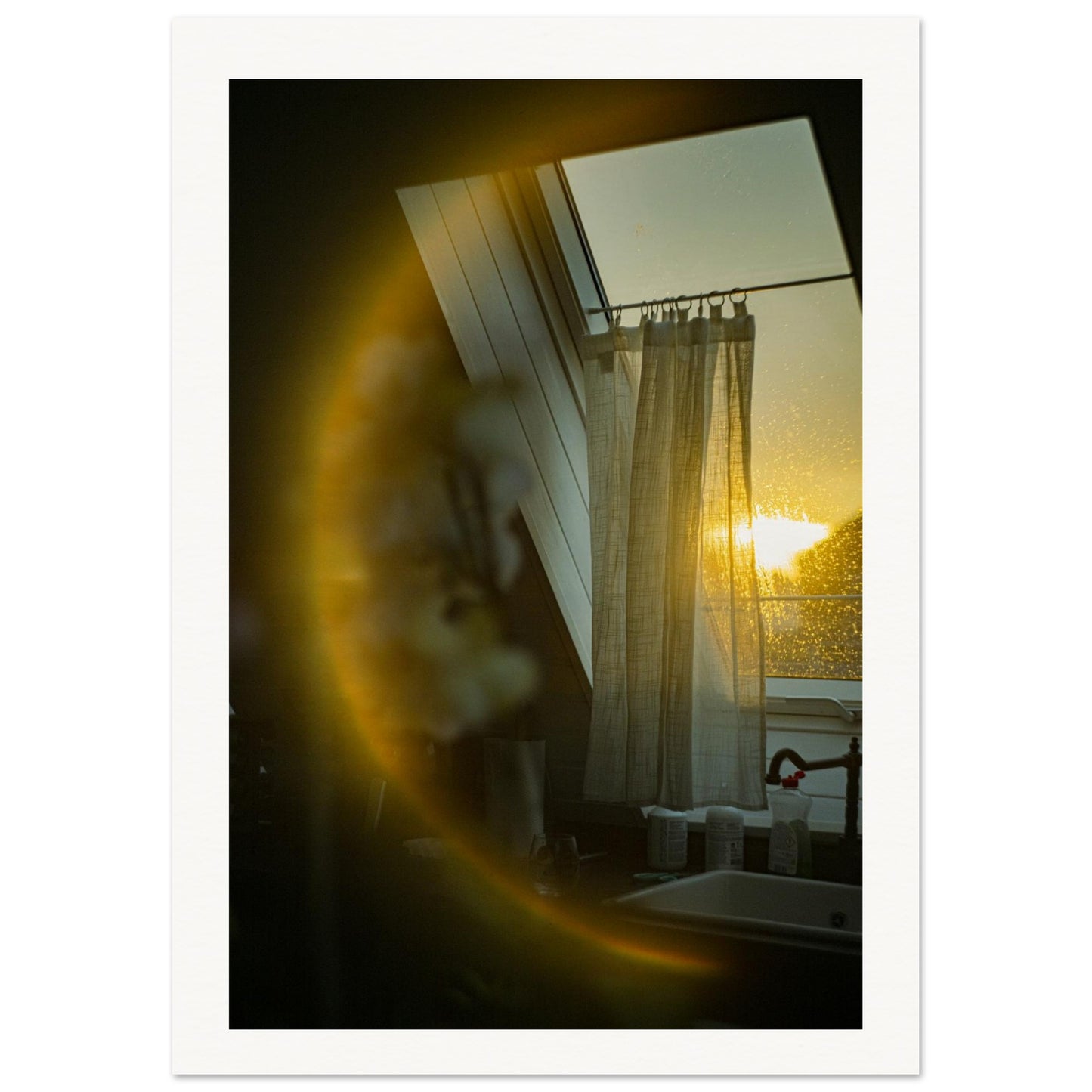 f97203a4-63ad-4280-bb7e-81be5c0d4209