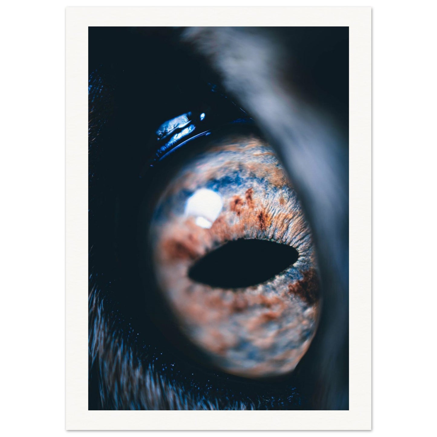 fb9d3623-b7e3-467c-8503-01b7807bd640