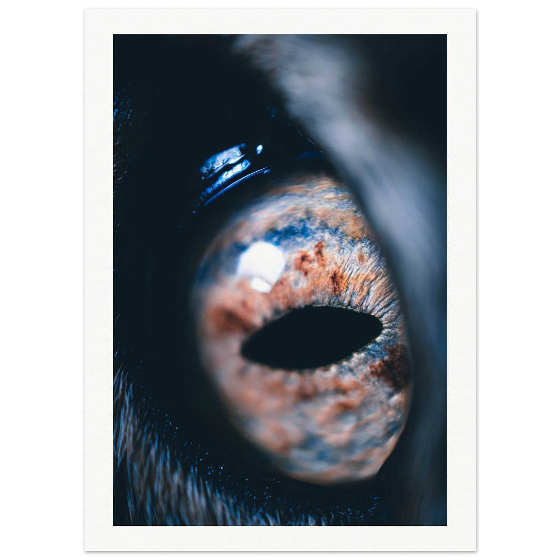 fb9d3623-b7e3-467c-8503-01b7807bd640