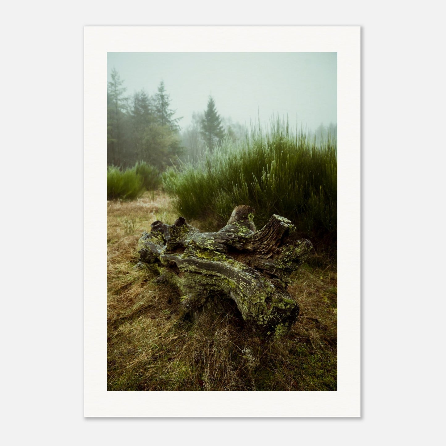 fc9b2c69-1d4f-4cc3-8afb-2e8915a945b0