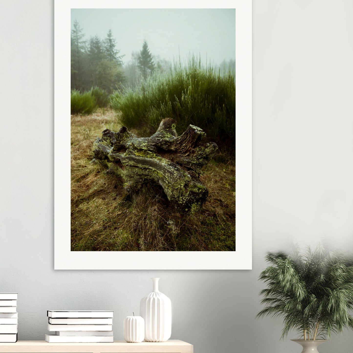 fca29e64-094a-43d6-9a0e-28843ef5ea73