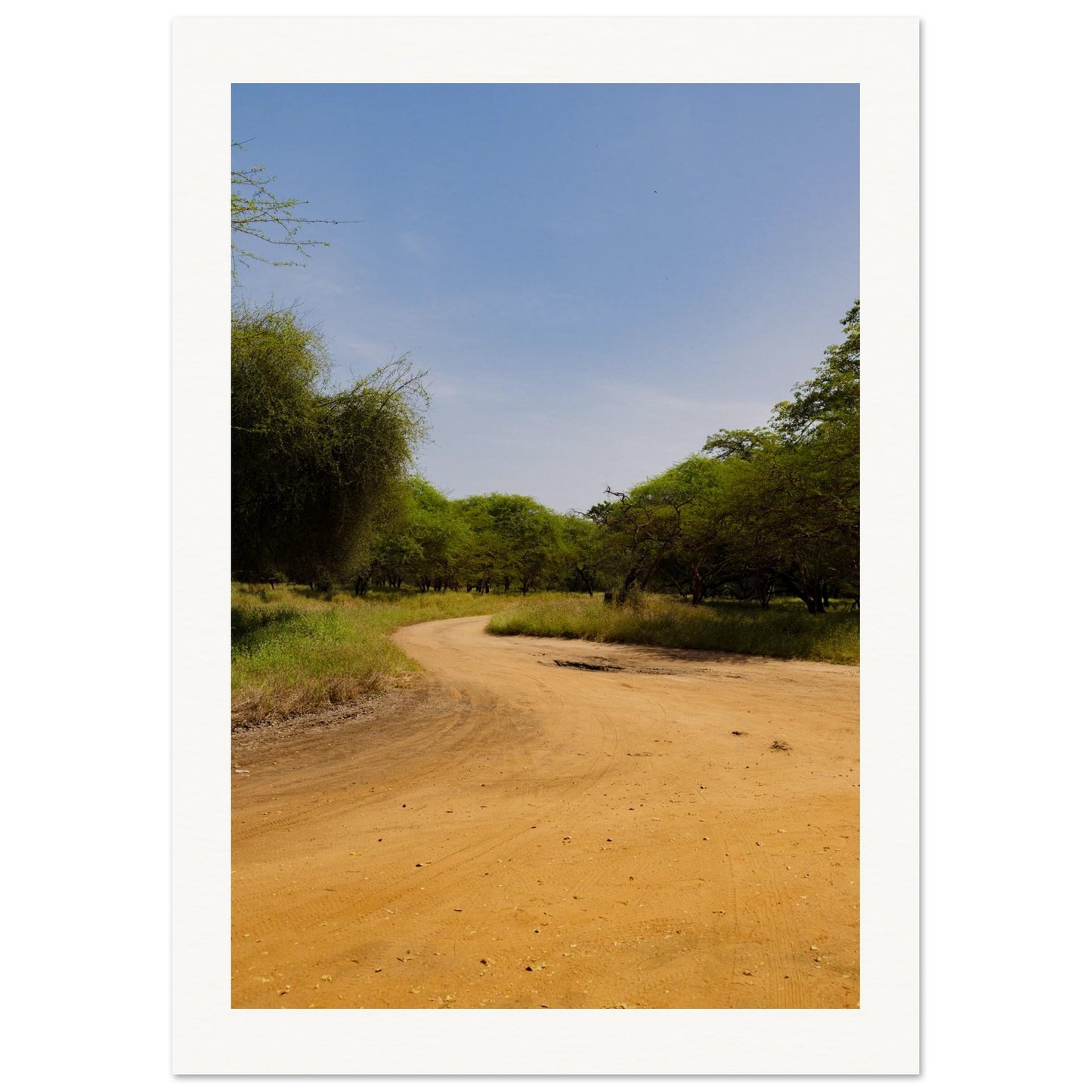 fd9e84da-b89b-4fab-bf0a-582a18b4bb10