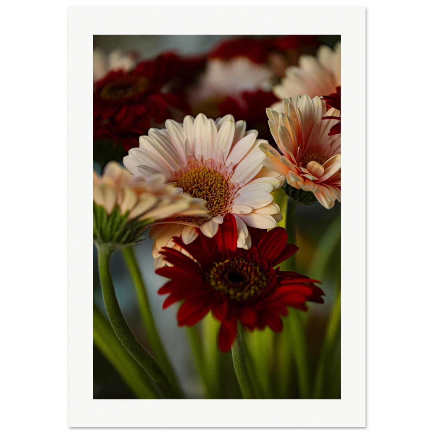 fdab869c-f4c9-4497-95c3-89d3579d0eb9