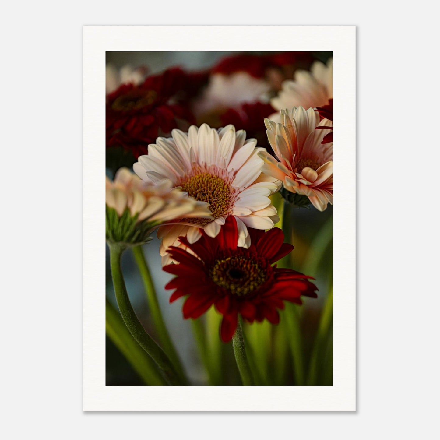 ffe35de7-f959-4c67-9044-95a38928c49c